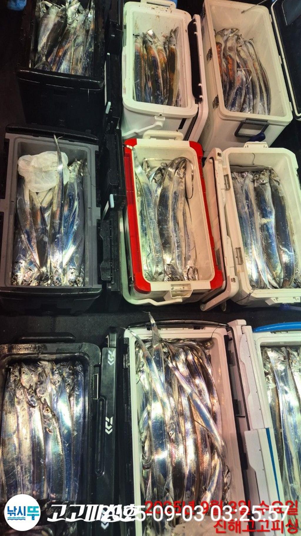 낚시뚜,,속천항(진해),고고피싱호,낚시뚜14