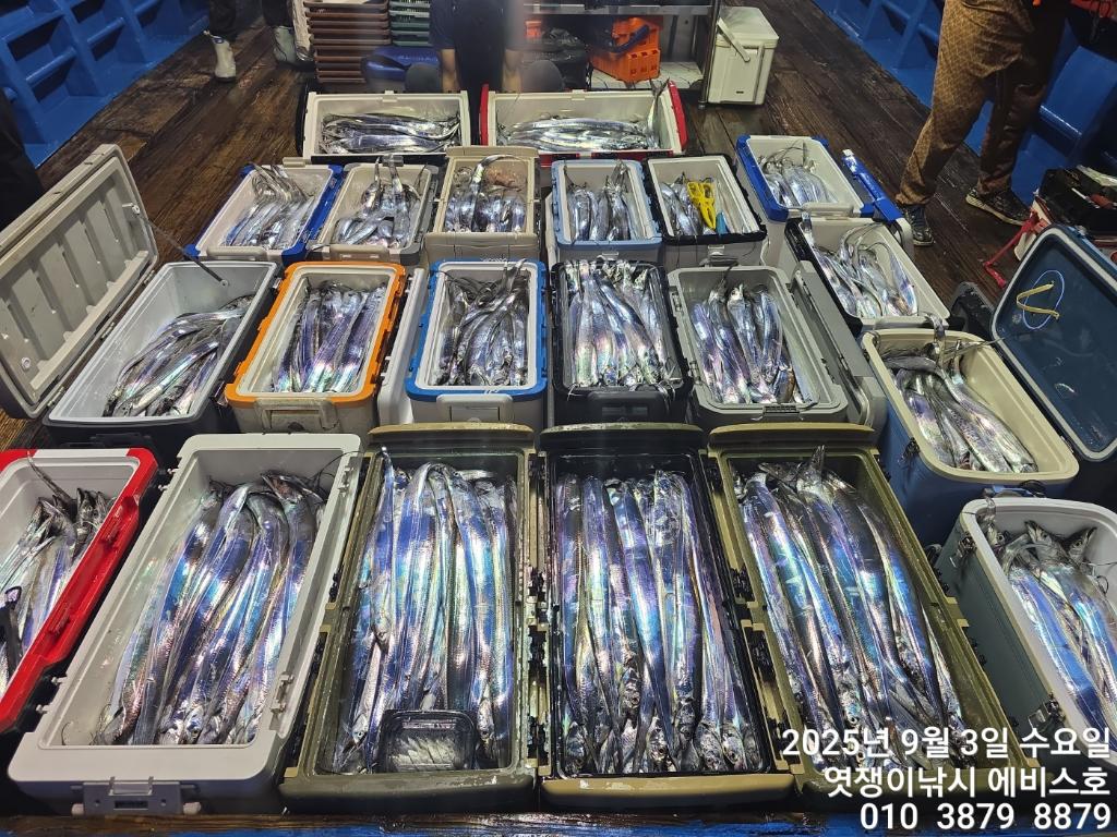 낚시뚜,갈치,삼포항,엿쟁이낚시,낚시뚜23