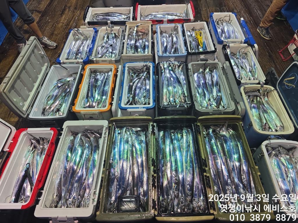 낚시뚜,갈치,삼포항,엿쟁이낚시,낚시뚜24