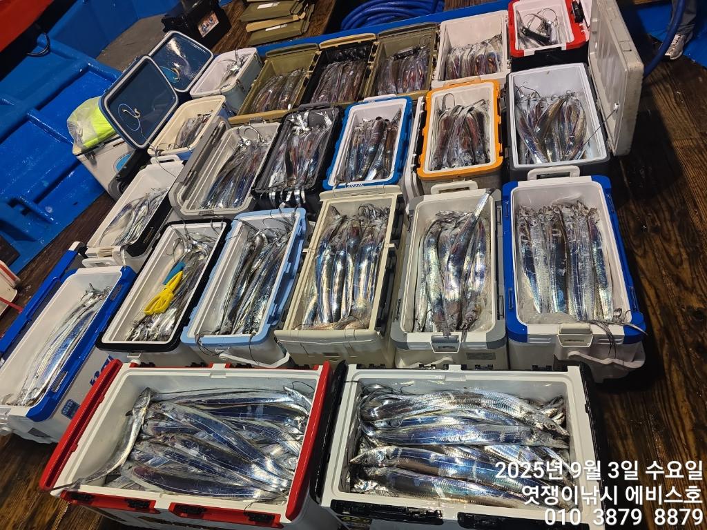 낚시뚜,갈치,삼포항,엿쟁이낚시,낚시뚜25