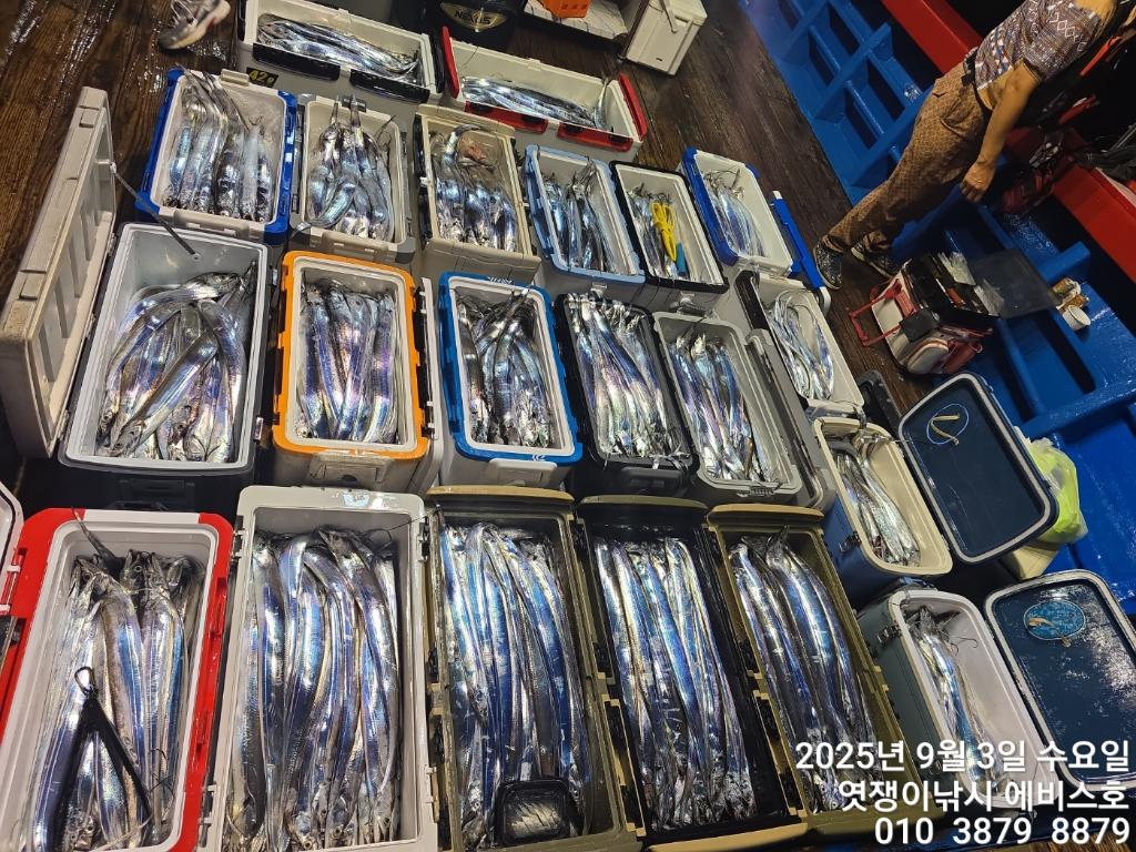 낚시뚜,갈치,삼포항,엿쟁이낚시,낚시뚜26