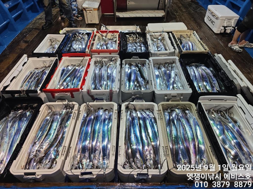 낚시뚜,갈치,삼포항,엿쟁이낚시,낚시뚜62