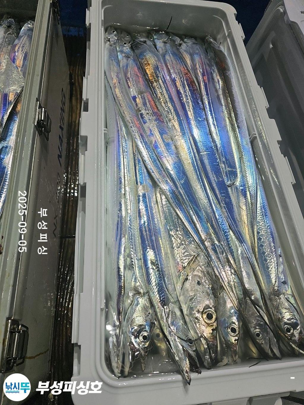 F27711565C.jpg
