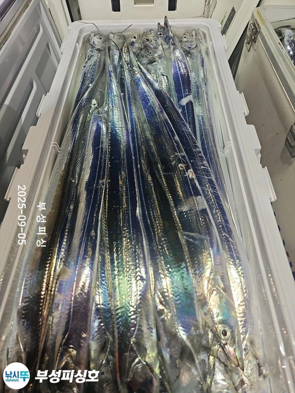 F2771158AE.jpg