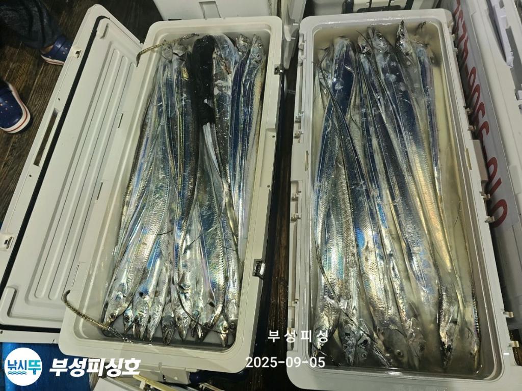 F27711603I.jpg