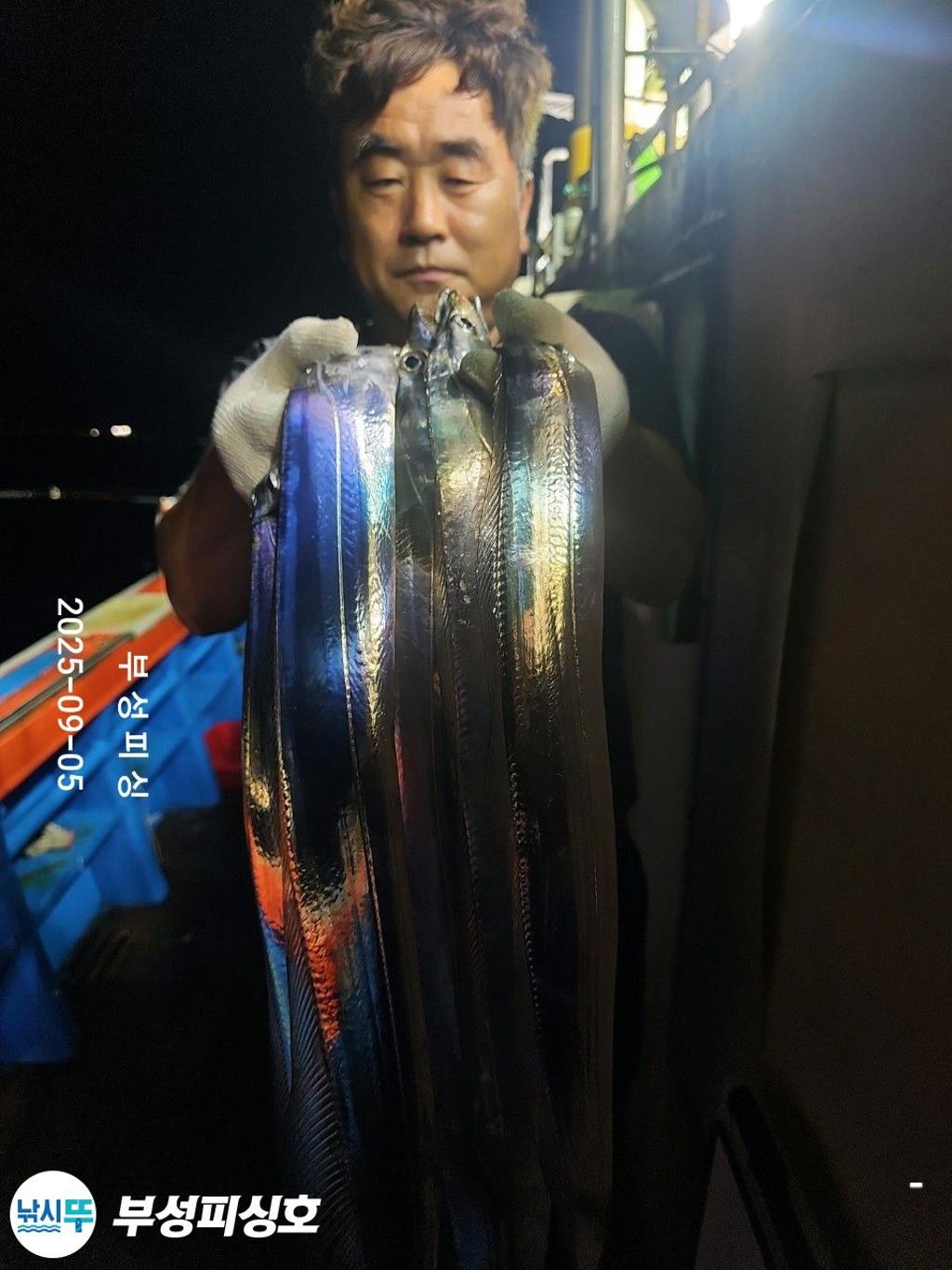 F2771169K4.jpg