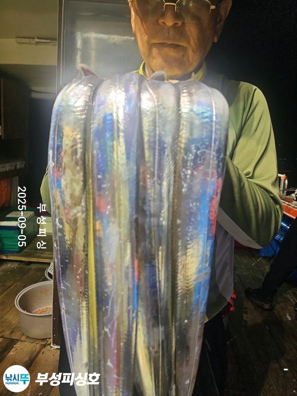 F277117071.jpg
