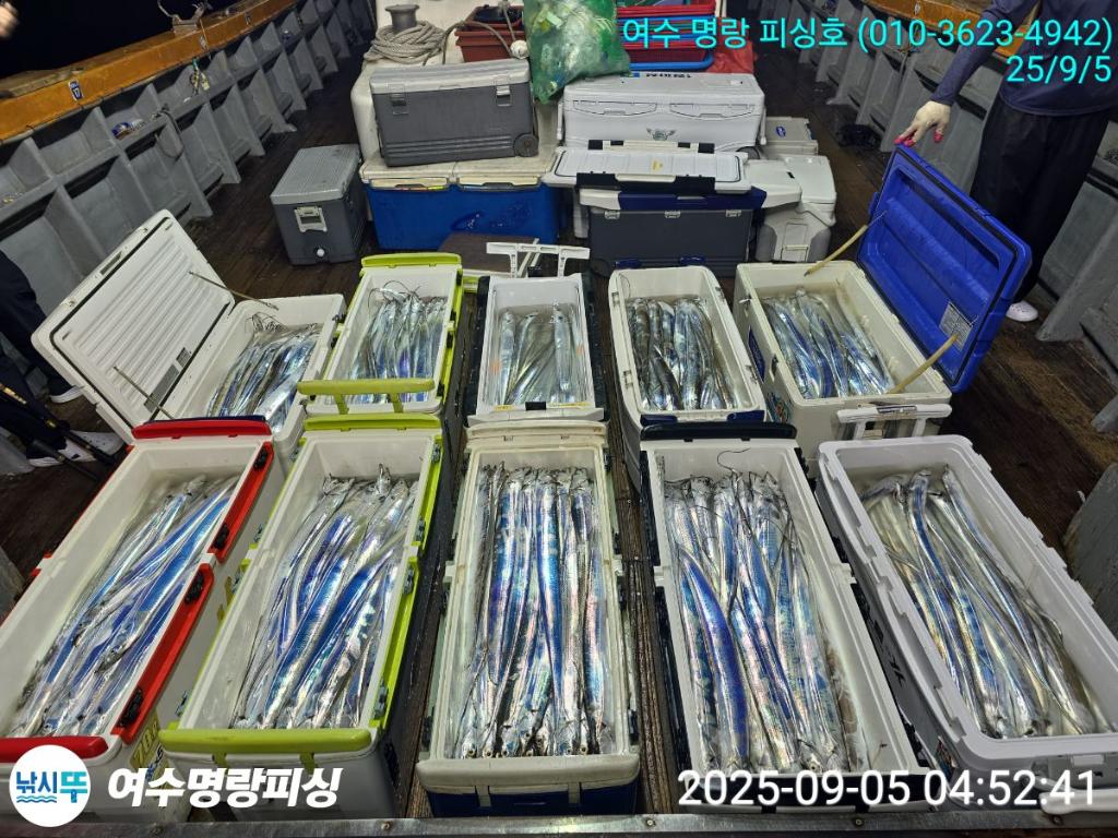 F2771231LF.jpg