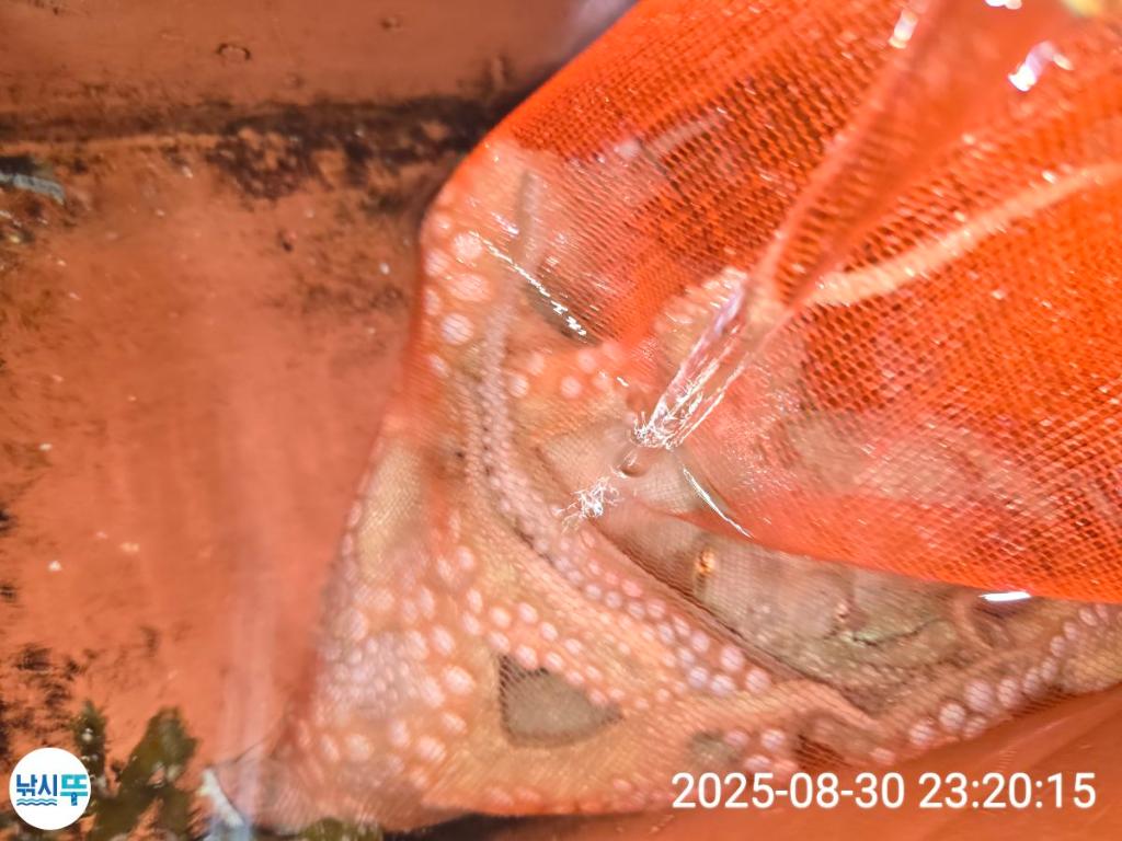F2771263RI.jpg