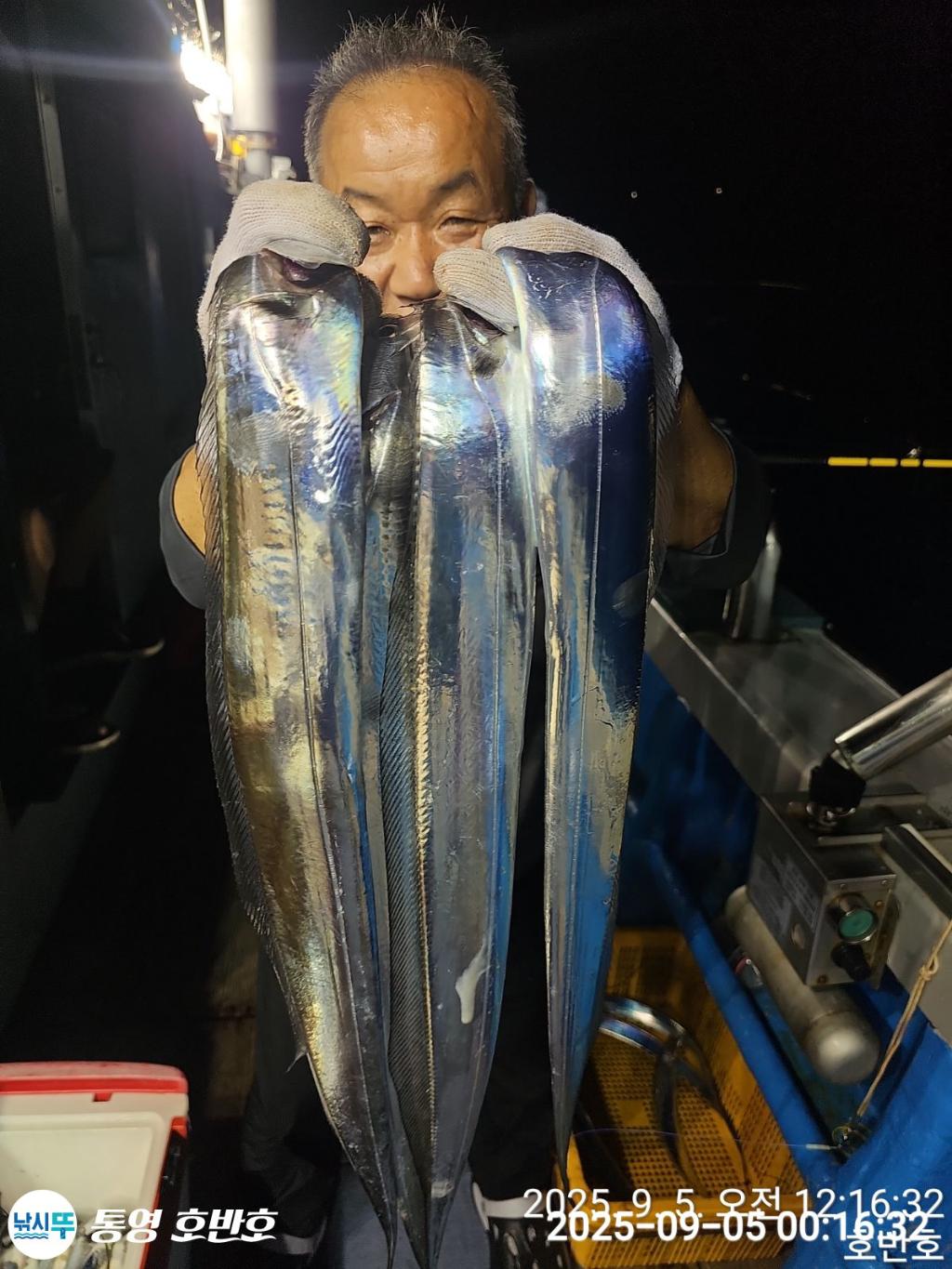 낚시뚜,갈치,통영 신전항,통영호반호,낚시뚜16