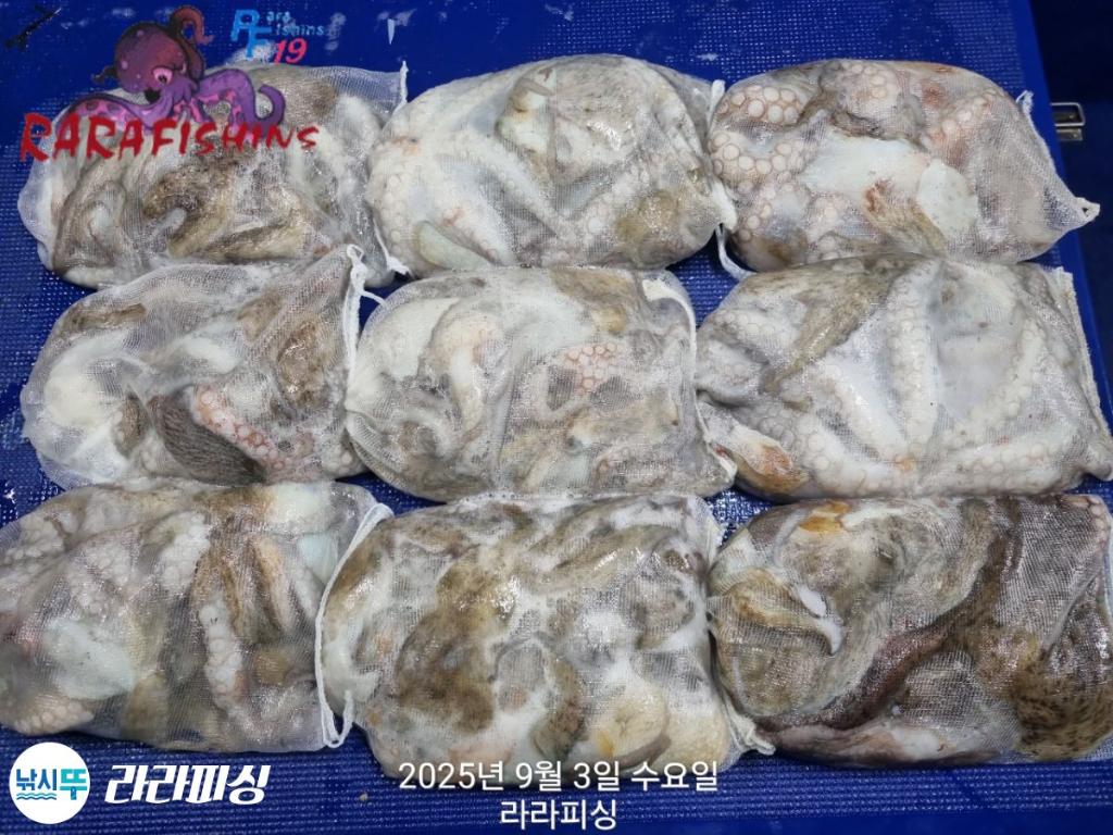F2771439O3.jpg