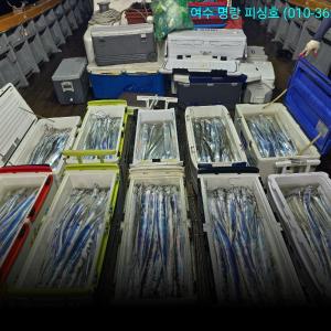 조황, 14석으로 대장쿨러 빠른 조황올립니다