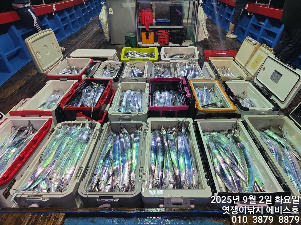 낚시뚜,갈치,삼포항,엿쟁이낚시,낚시뚜44