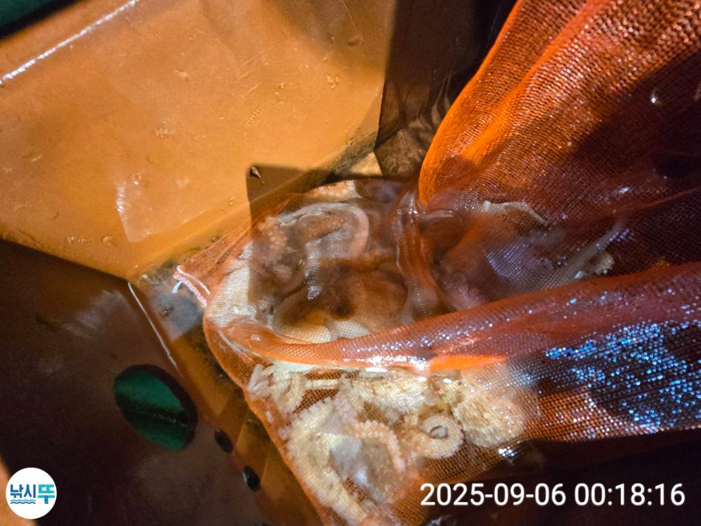 F27716082H.jpg