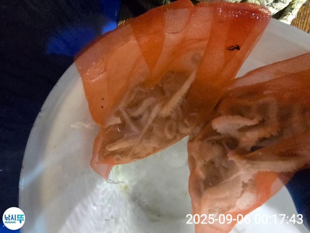 F2771611LD.jpg