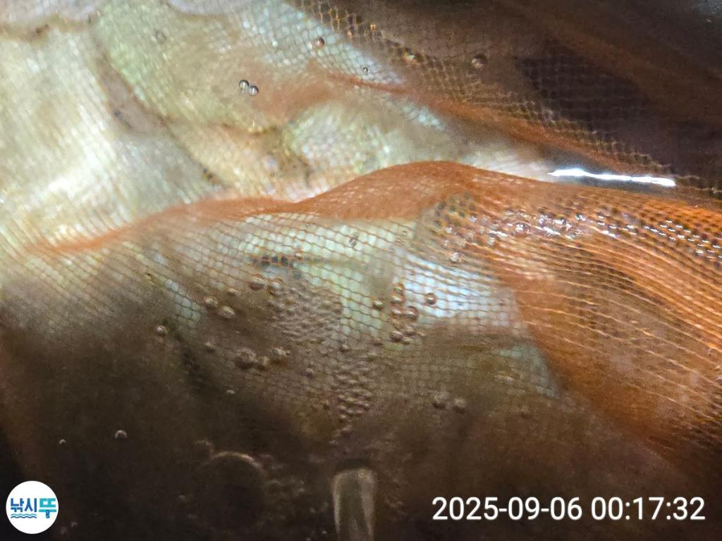 F27716129L.jpg