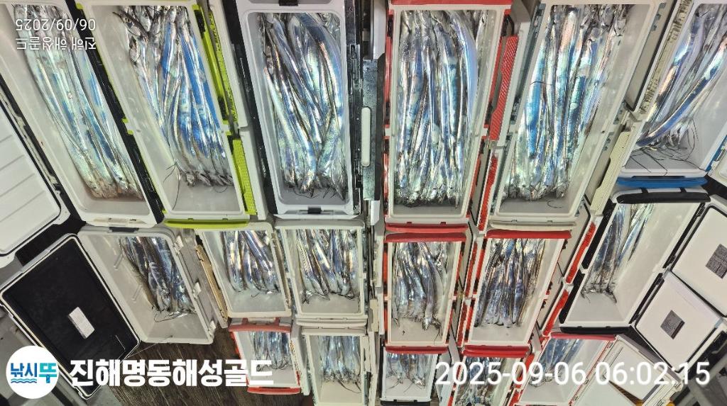 F2771795MH.jpg