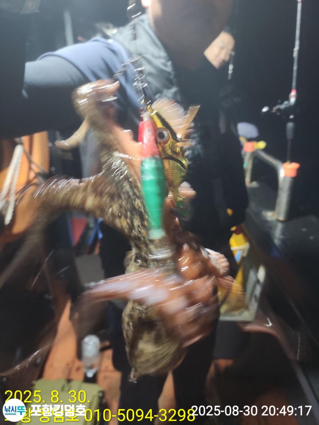 낚시뚜,돌문어,영일만항,포항 킹덤호,낚시뚜4