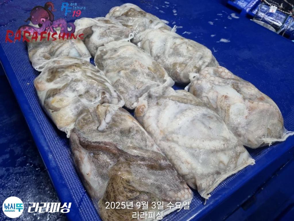 F2772037BB.jpg
