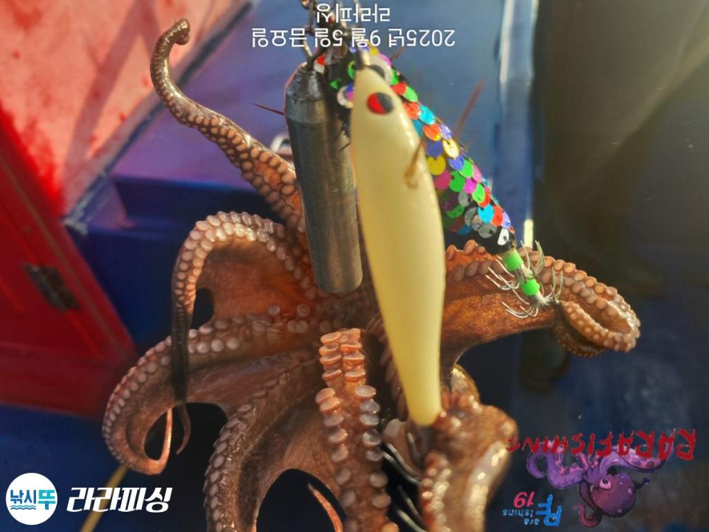 F2772044YU.jpg