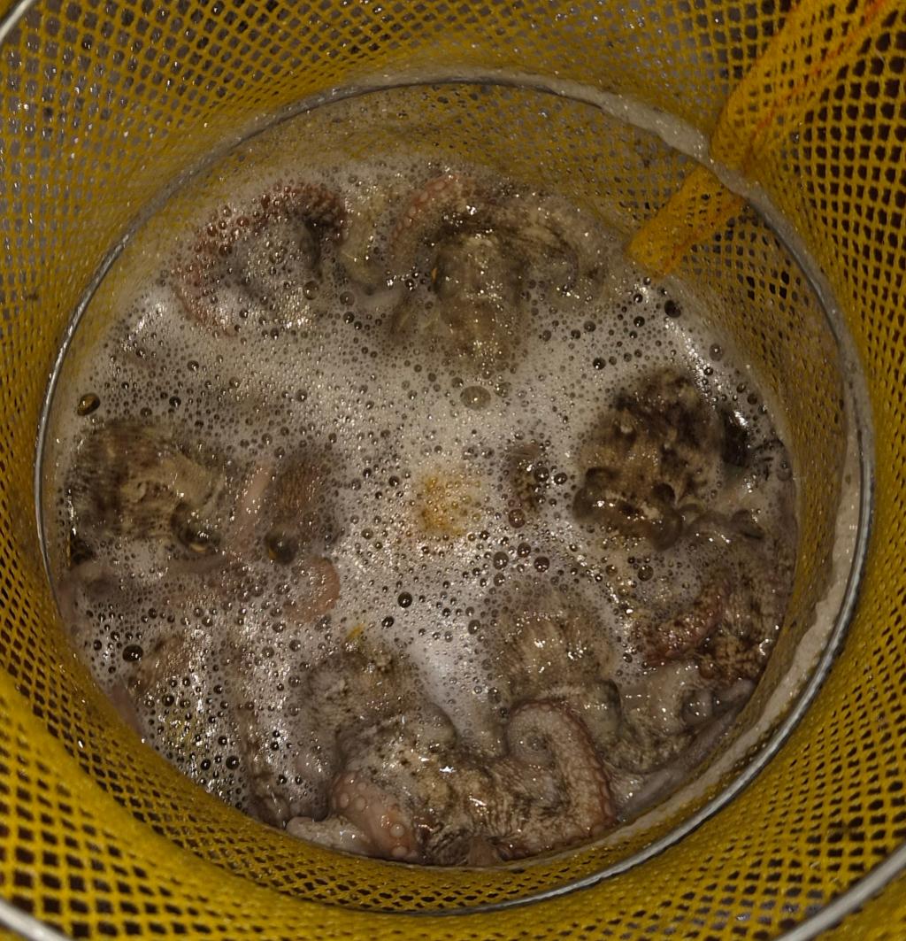 F2772066H1.jpg
