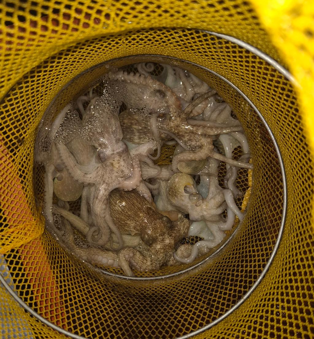 F2772067AP.jpg