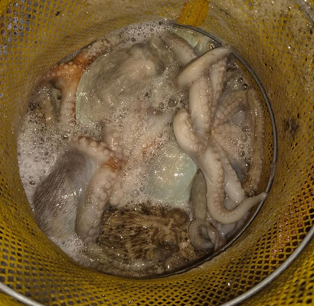 F277206810.jpg