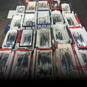 조황, 준내만갈치(텐빈)~기본씨알3지4지!~(오늘6자리여유)(4시출발)