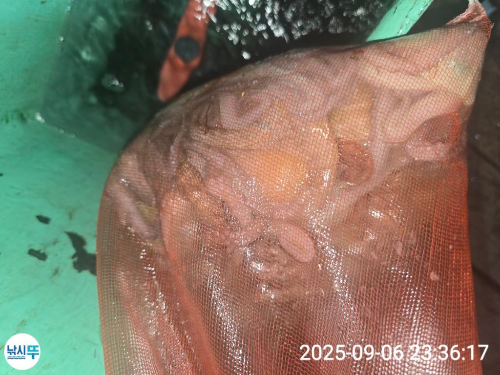 F2772490HF.jpg