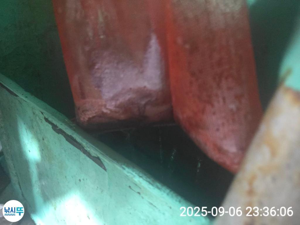 F277249297.jpg