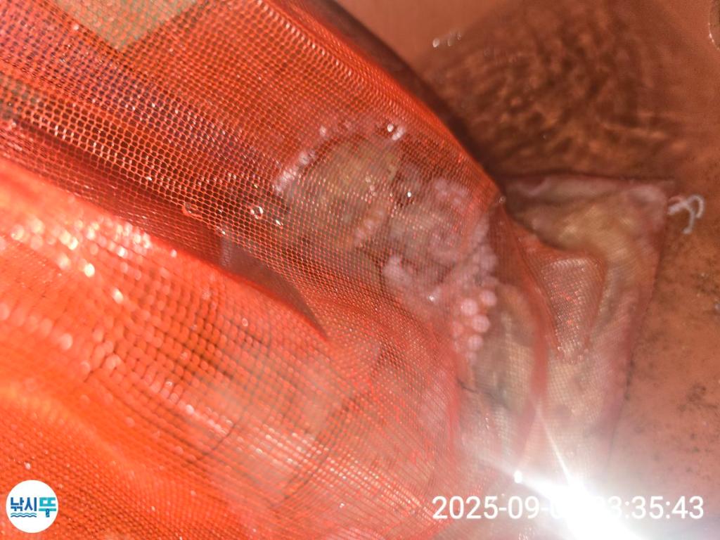 F2772493BJ.jpg