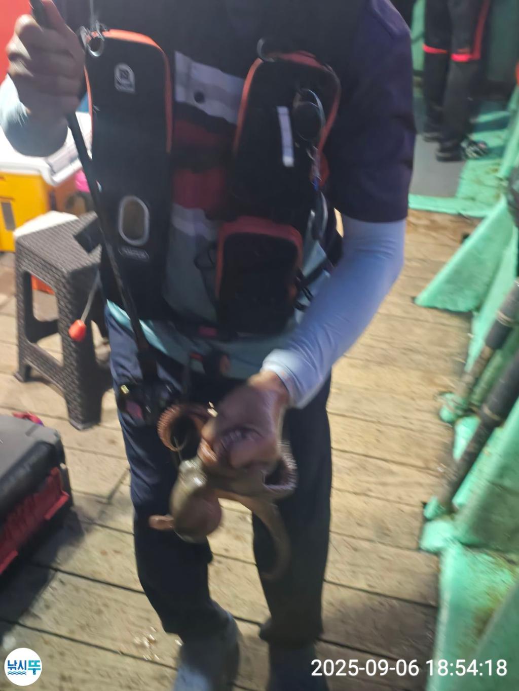 F2772509YC.jpg