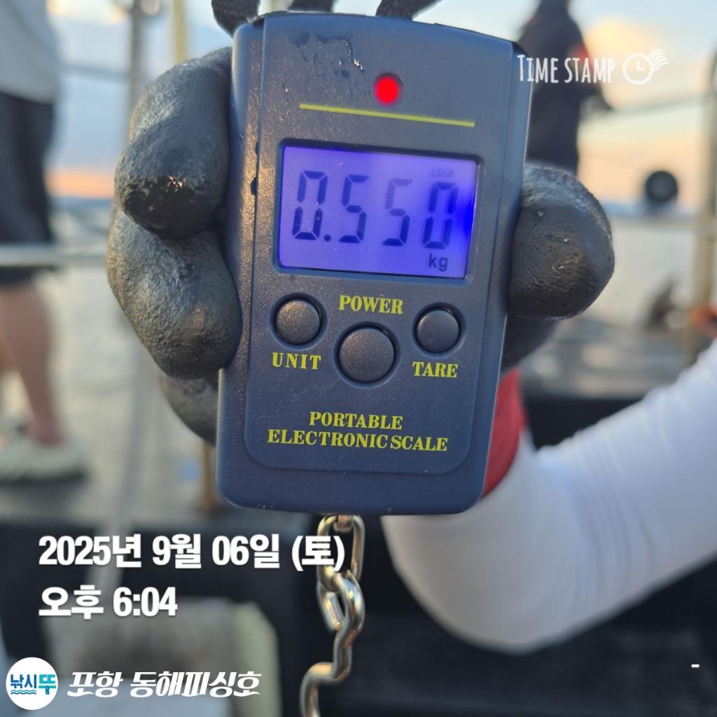낚시뚜,돌문어,포항(운하관),포항 동해피싱호,낚시뚜1