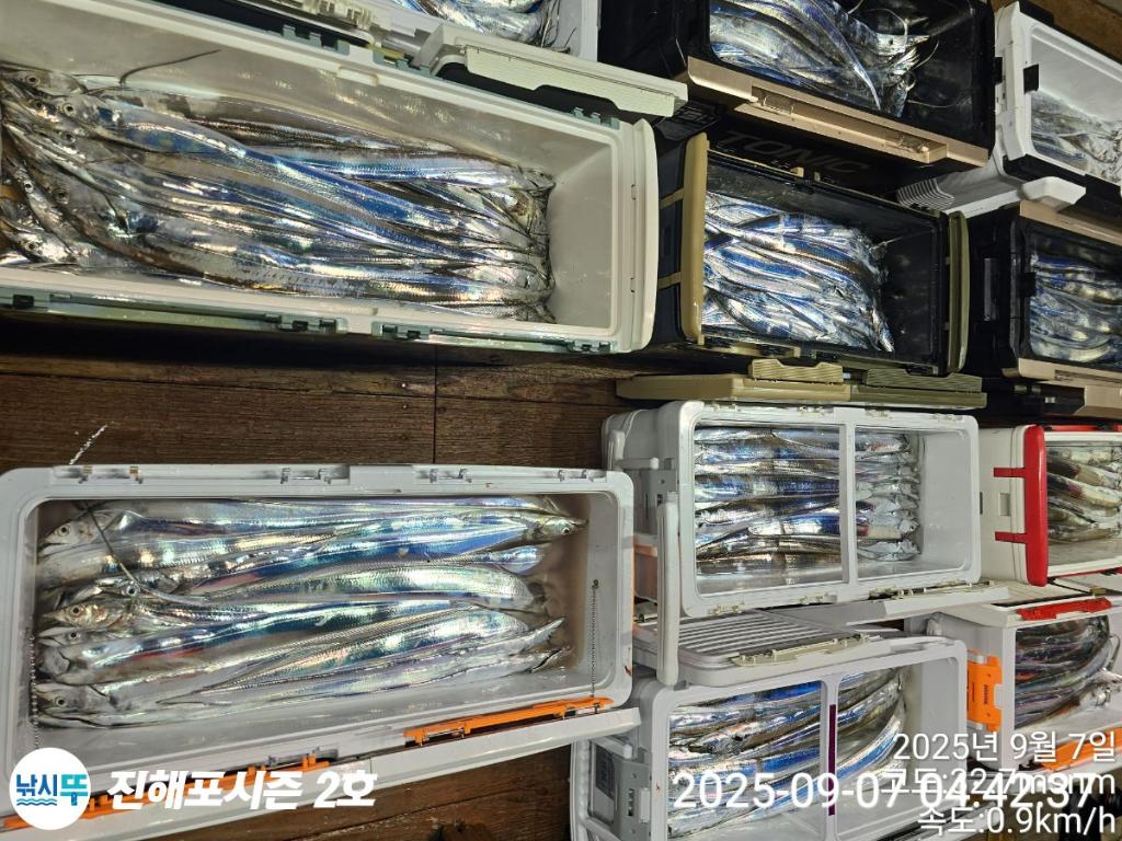 낚시뚜,갈치,진해행암항,진해포시즌 2호,낚시뚜16