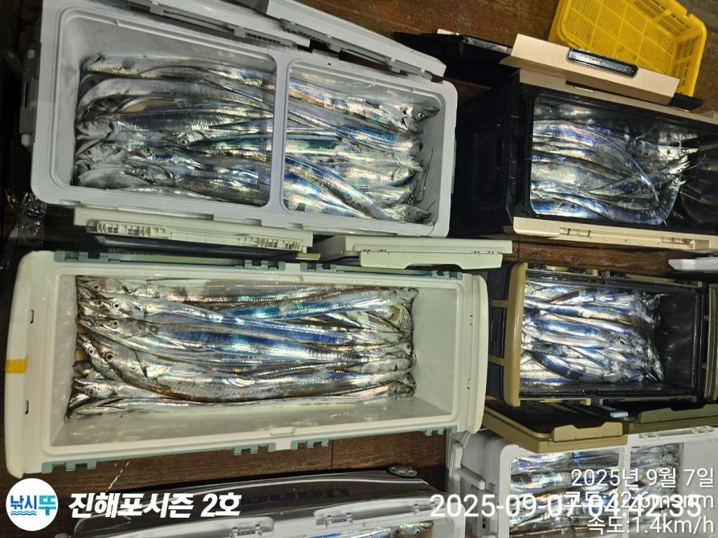 낚시뚜,갈치,진해행암항,진해포시즌 2호,낚시뚜15
