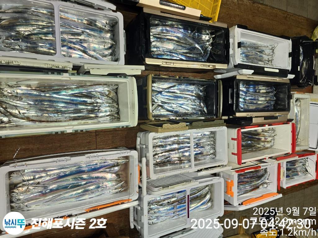 낚시뚜,갈치,진해행암항,진해포시즌 2호,낚시뚜14