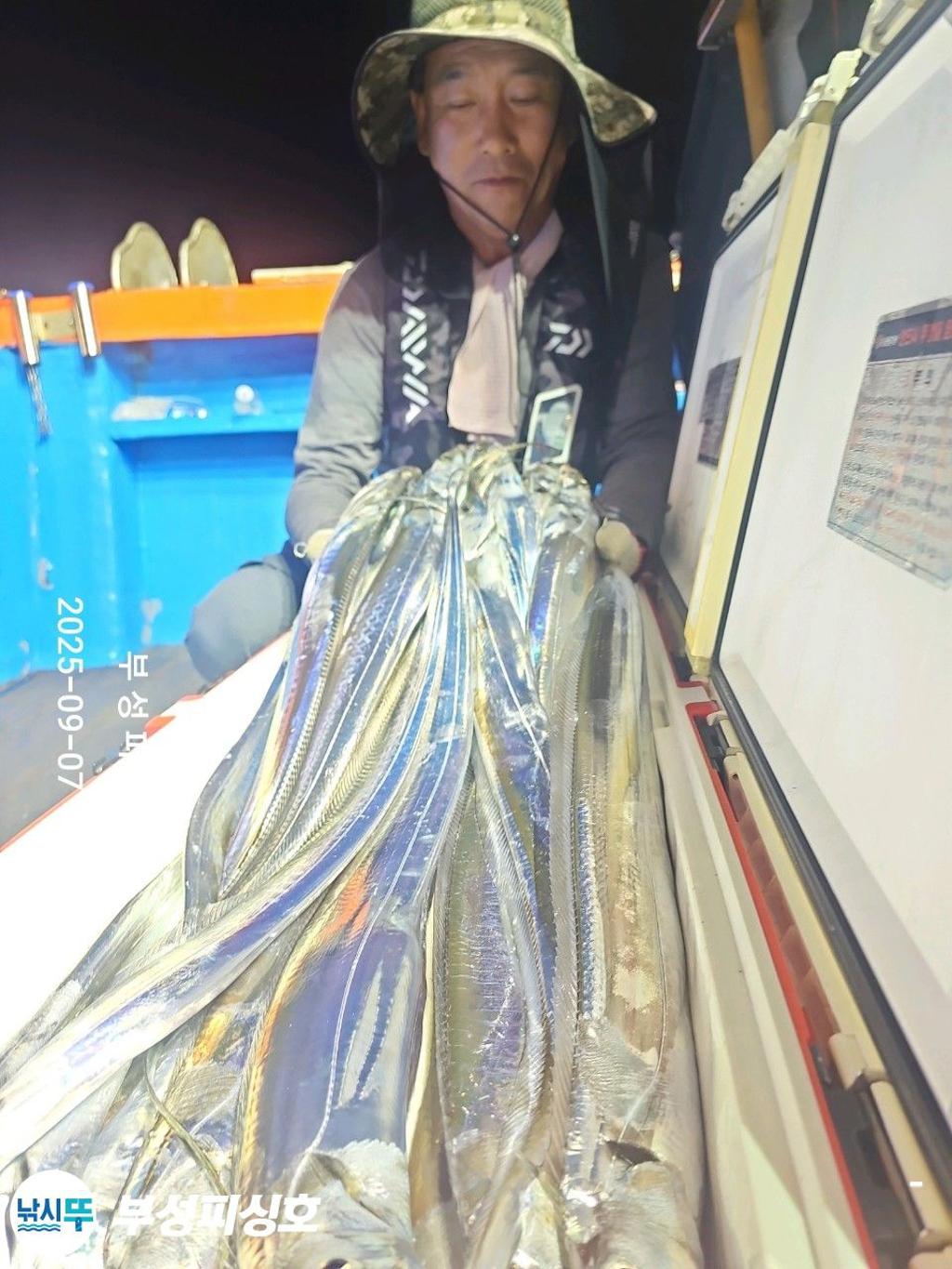 F2772688T5.jpg