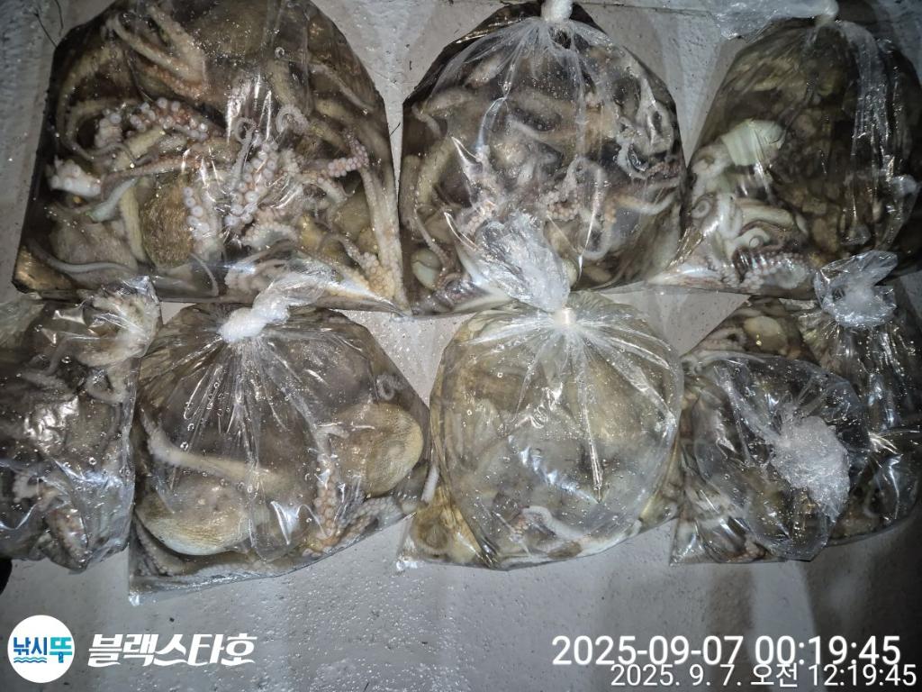 F277273961.jpg