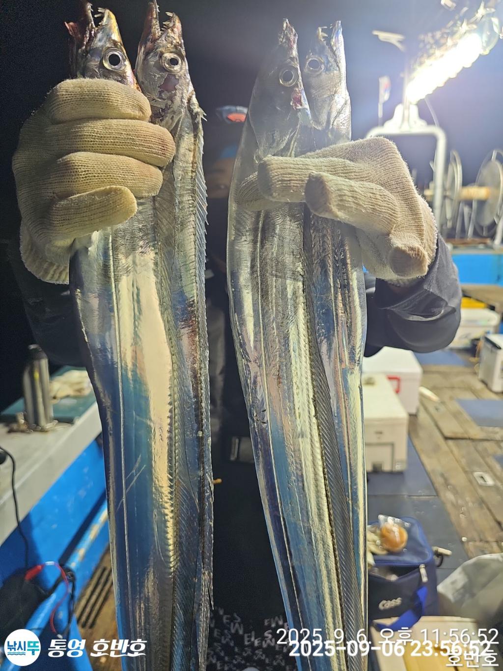낚시뚜,갈치,통영 신전항,통영호반호,낚시뚜22