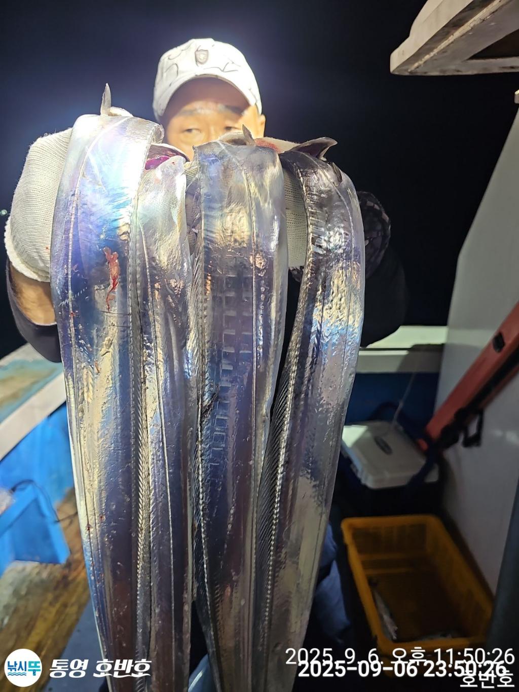 낚시뚜,갈치,통영 신전항,통영호반호,낚시뚜21