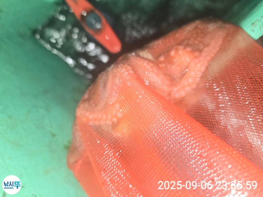 F27728585Z.jpg