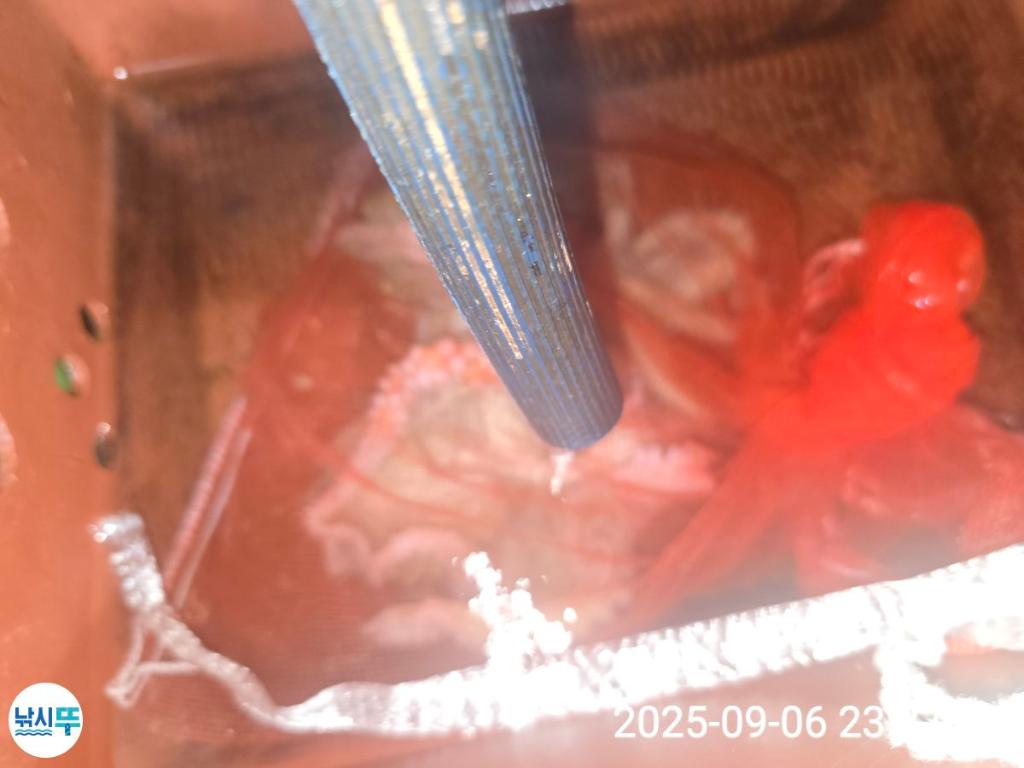 F2772864TD.jpg
