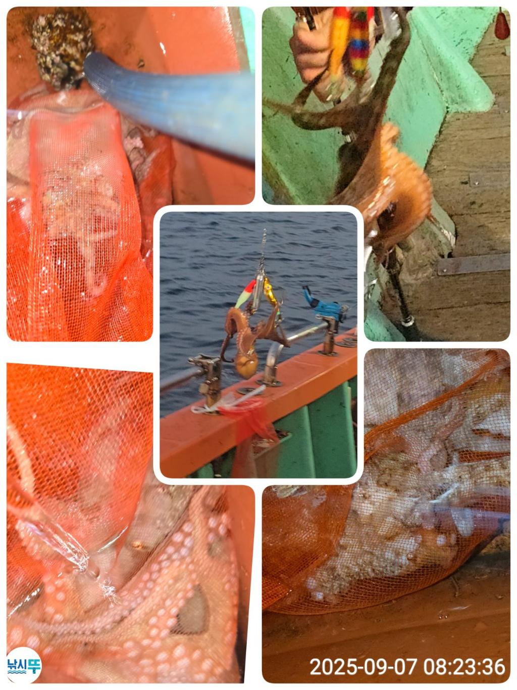 F2772867MD.jpg