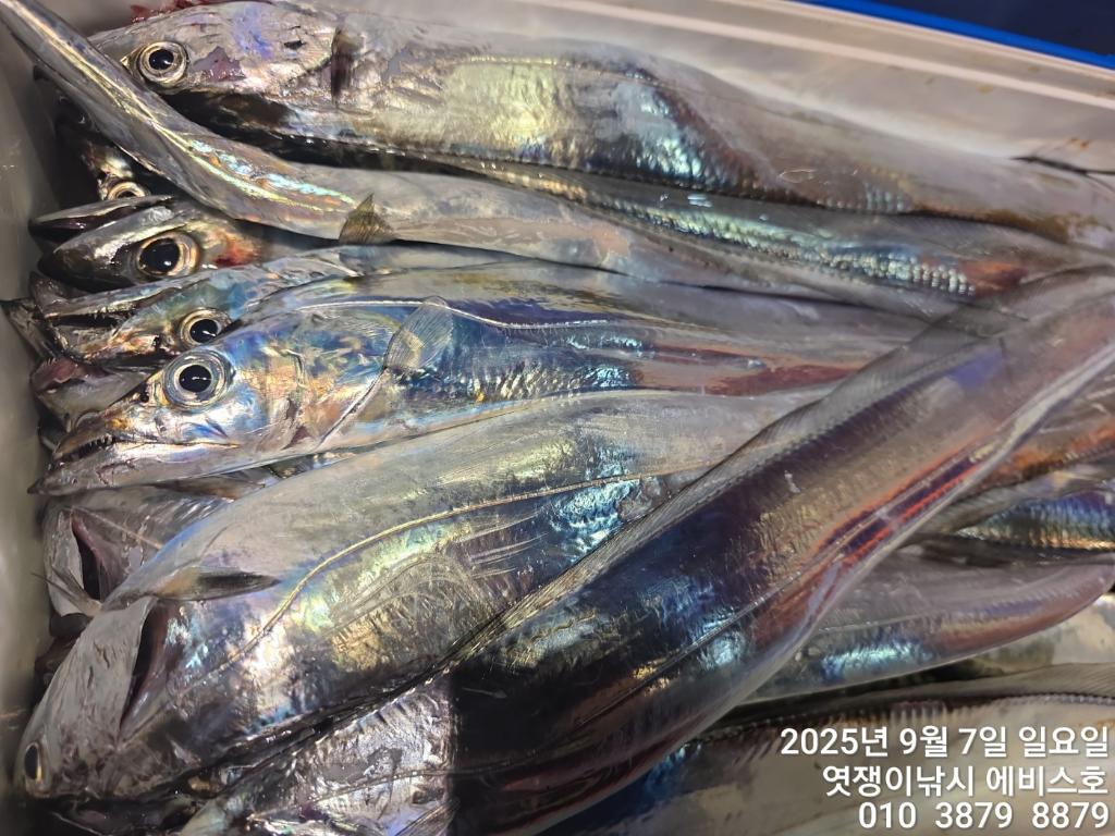 F2772877CN.jpg