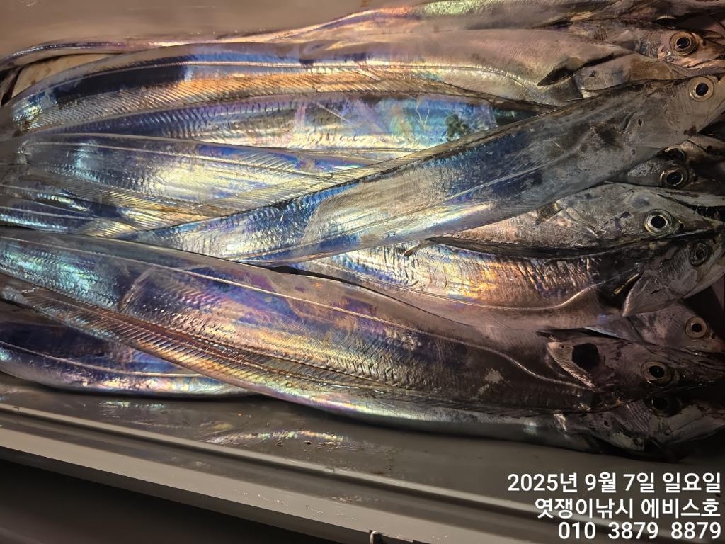 F2772884CG.jpg