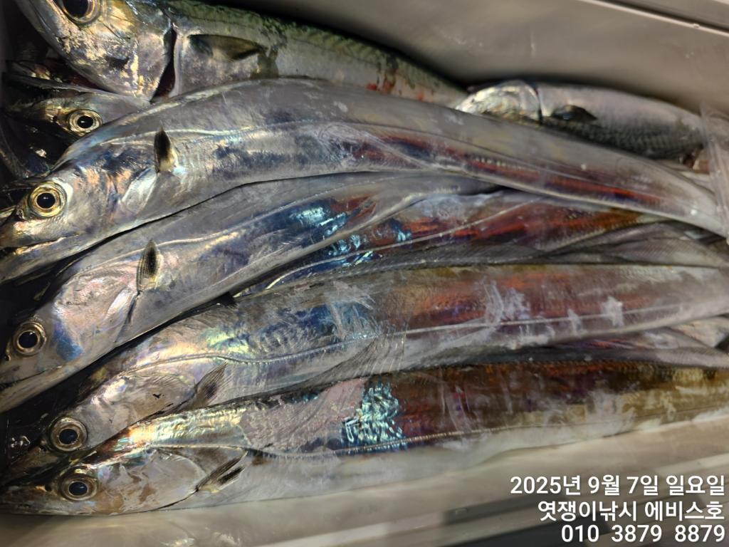 F27728876T.jpg