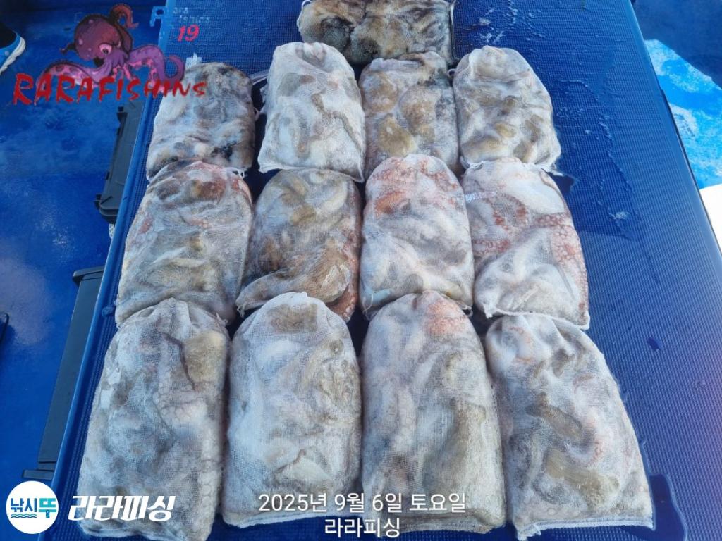 F277304189.jpg