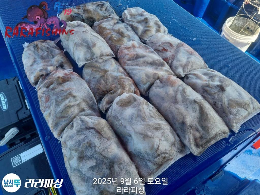 F27730422L.jpg