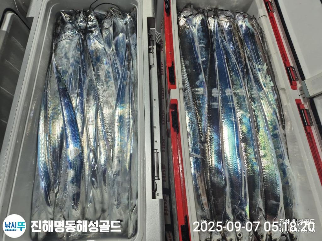 F2773090GL.jpg