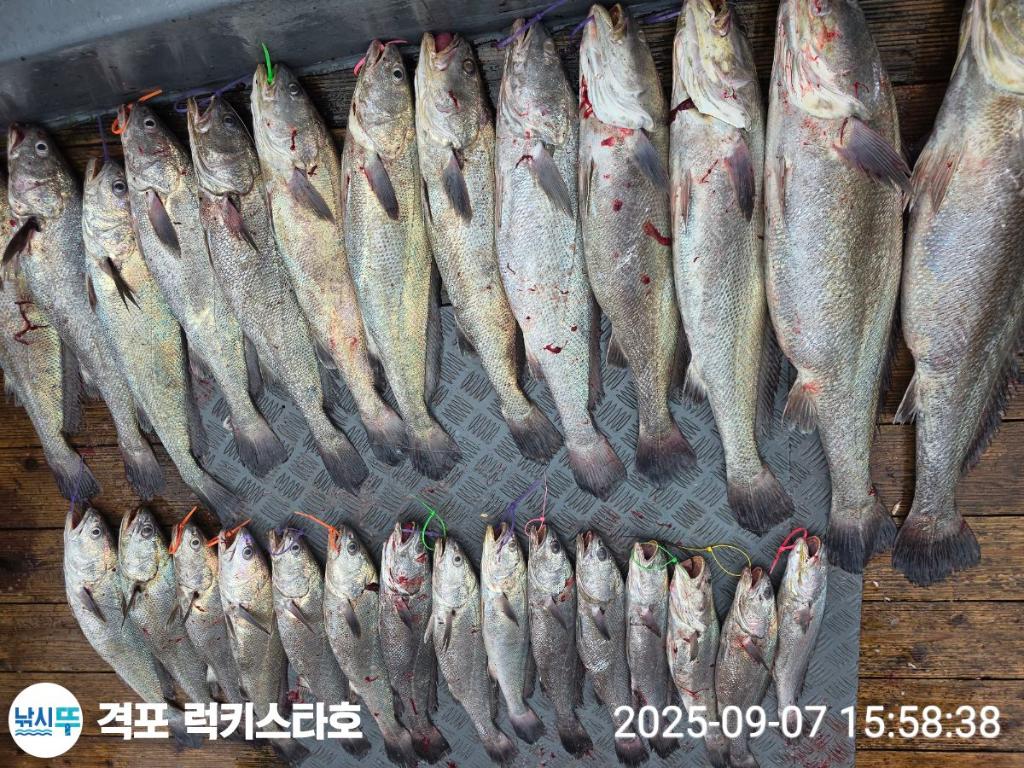 F2773343V6.jpg